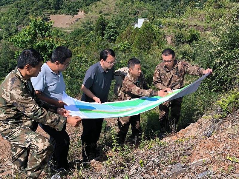 20220616/62aaf7273cf11.jpg 2.jpg