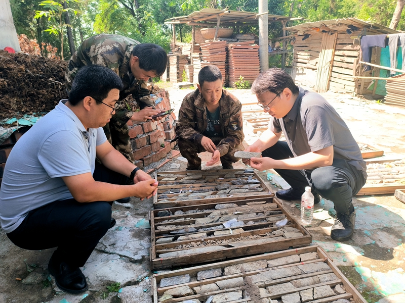 20220616/62aaf73c09b79.jpg 3.jpg