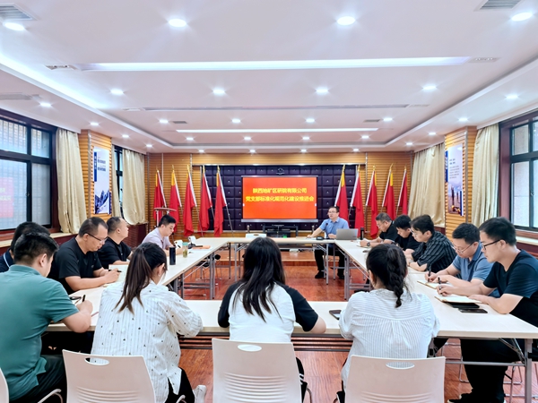 陜西地礦區(qū)研院有限公司召開黨支部標準化規(guī)范化建設推進會